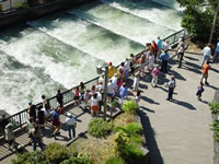 Bradford Island Visitor Center