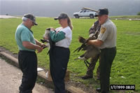 Tunnelville Recreation Are