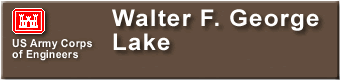  Walter F. George Lake Sign 